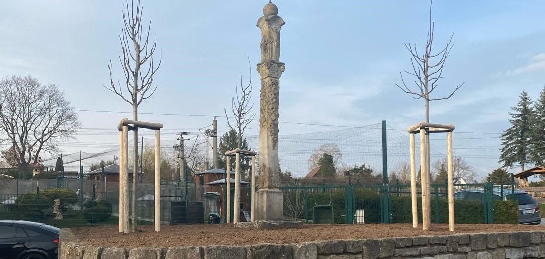 Neue Linden schmücken den Ringau.