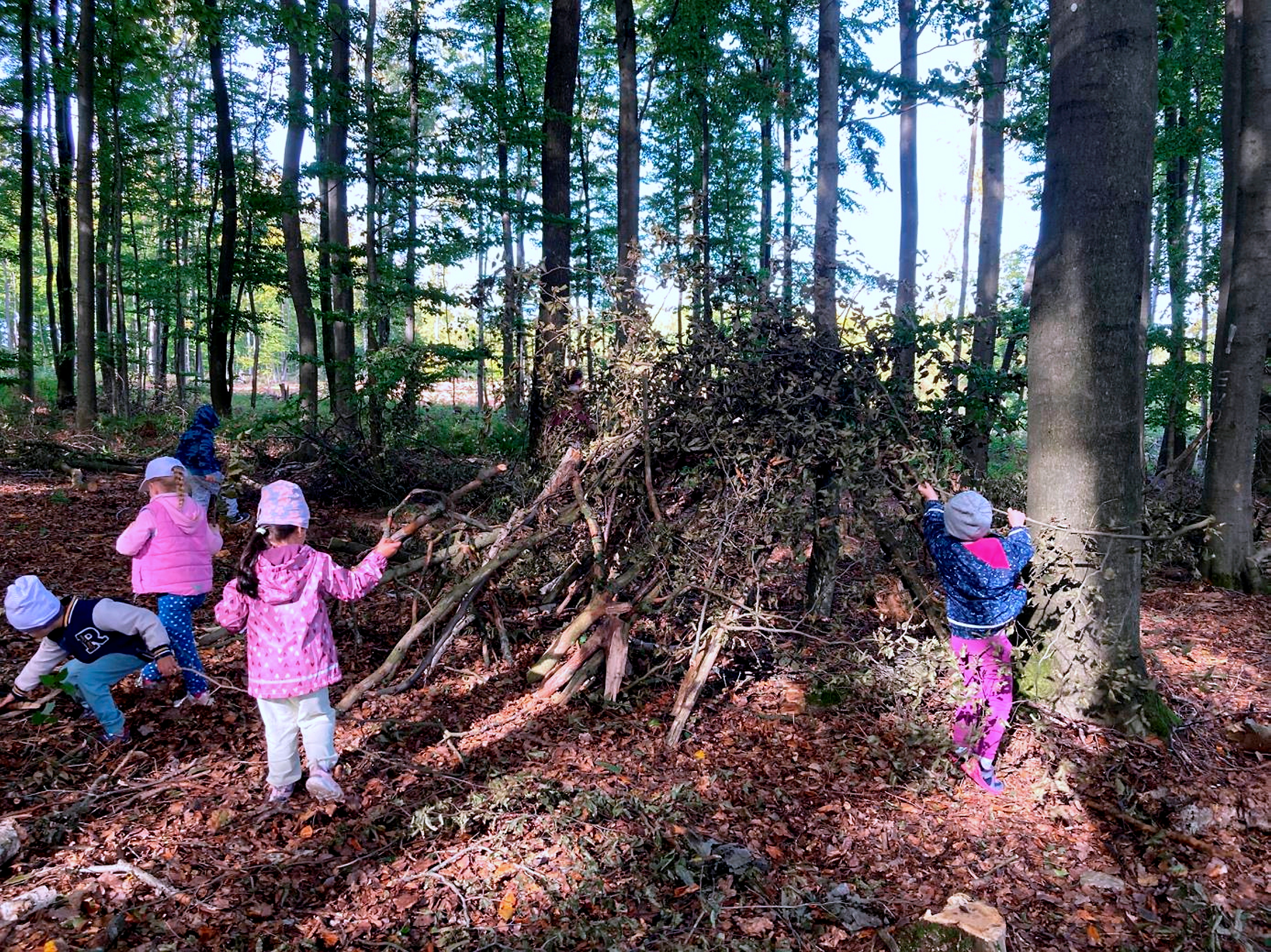 DRK-Kindergarten auf Entdeckungsreise