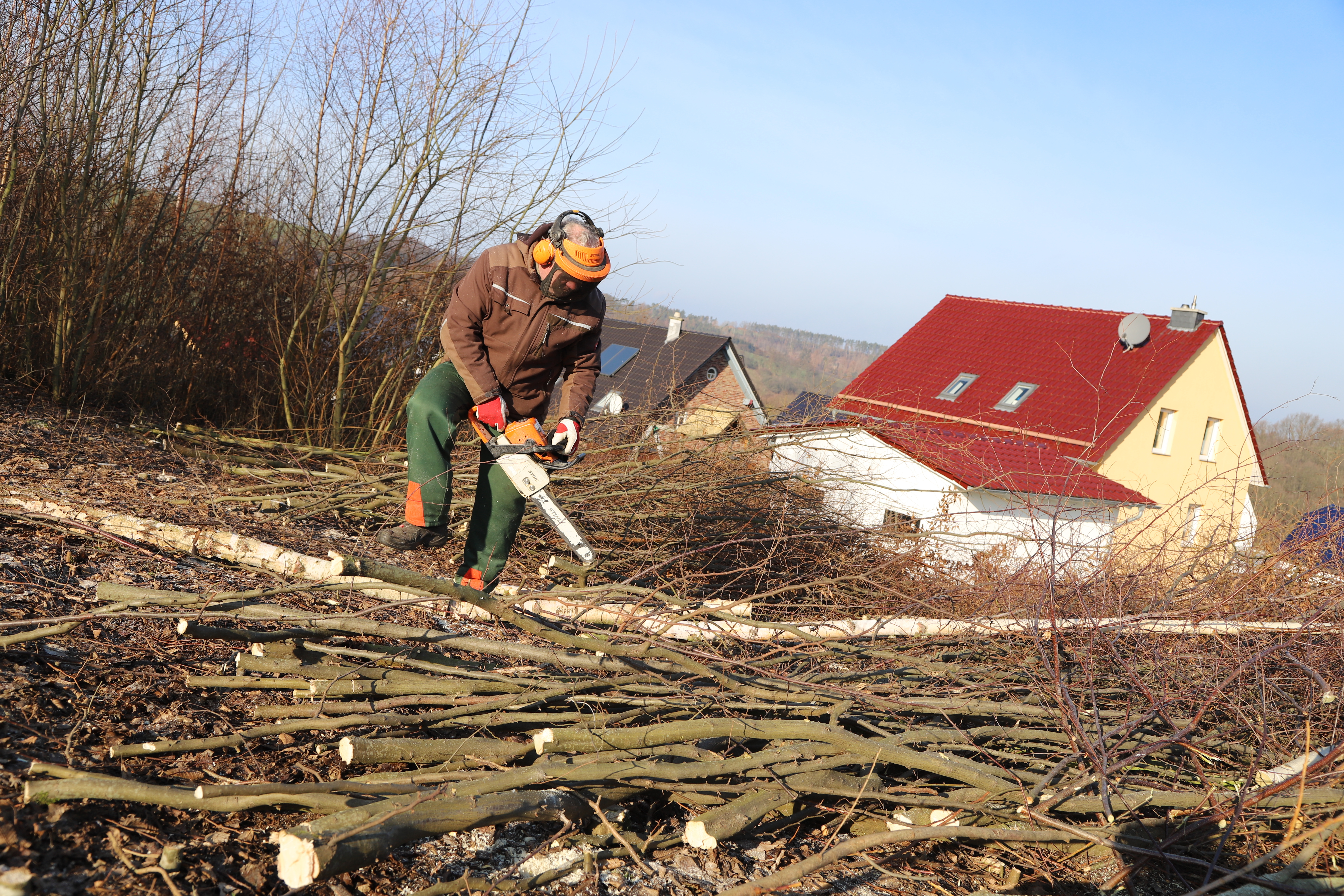 Wohngebiet Dautel Hundeshagen