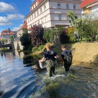 Stadtfest Worbis 2024 Wipperfest 