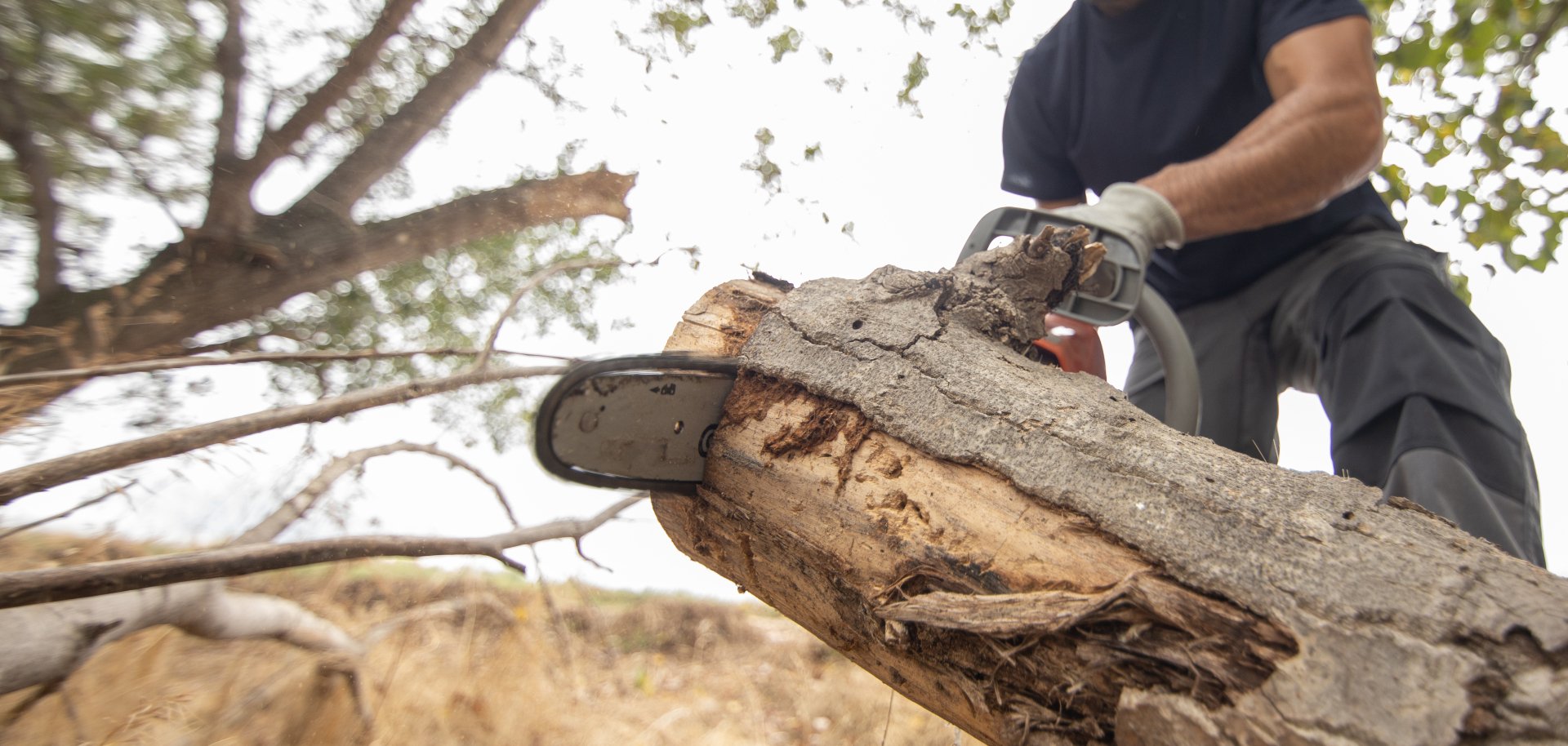 Closeup of a lumberjack with a chainsaw in a forest