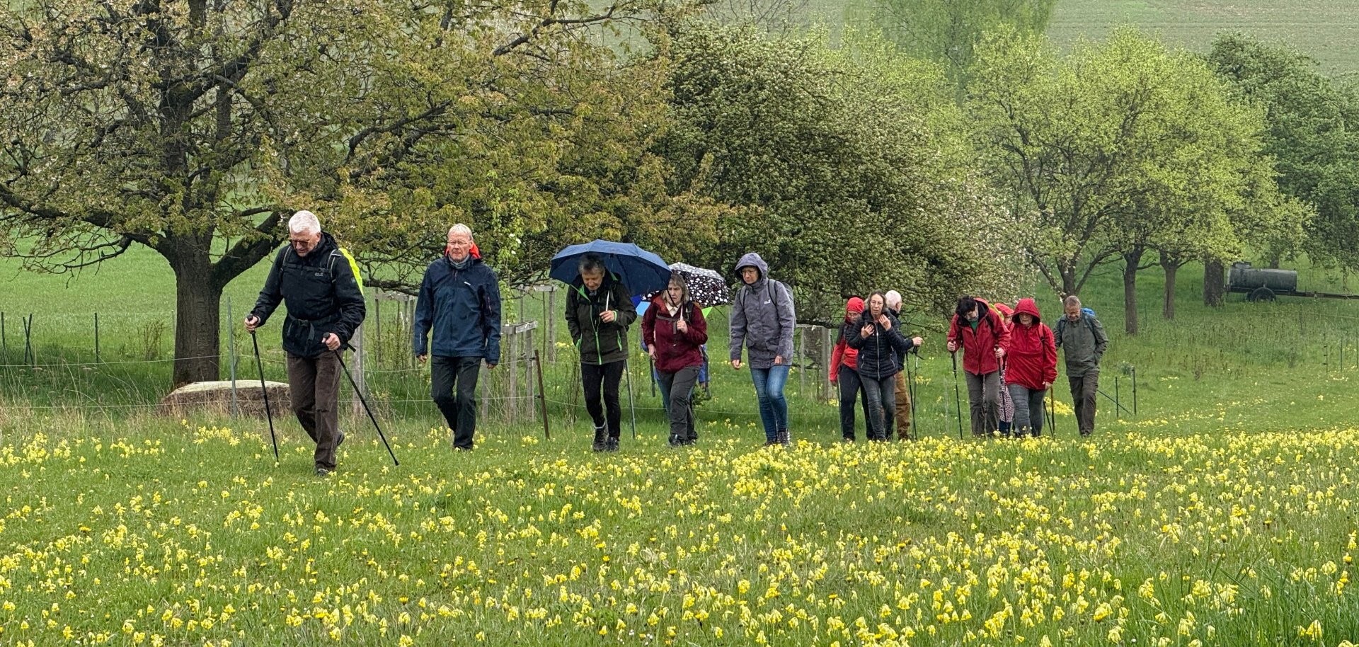 Wanderung TOP-Wanderweg Scharfenstein