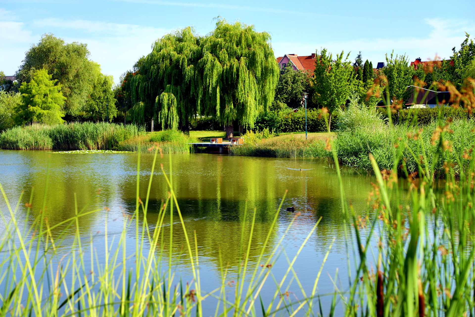 Neuer Steg Märtensteich Leinefelde