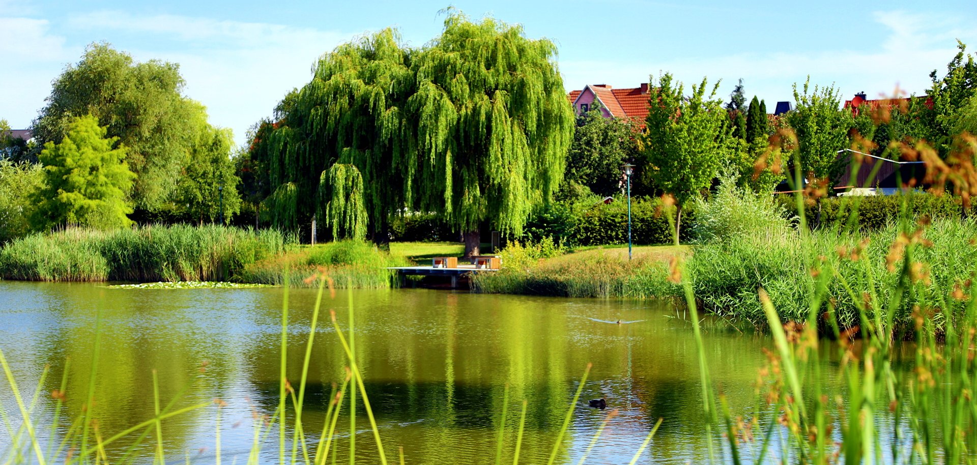 Neuer Steg Märtensteich Leinefelde