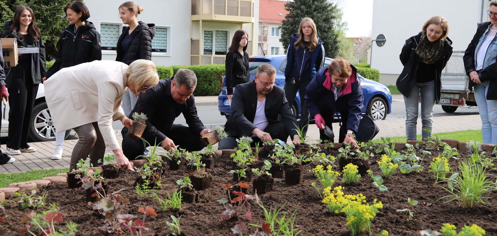 Countdown zur Landesgartenschau