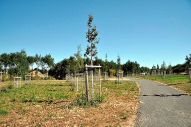 Landesgartenschau 2026