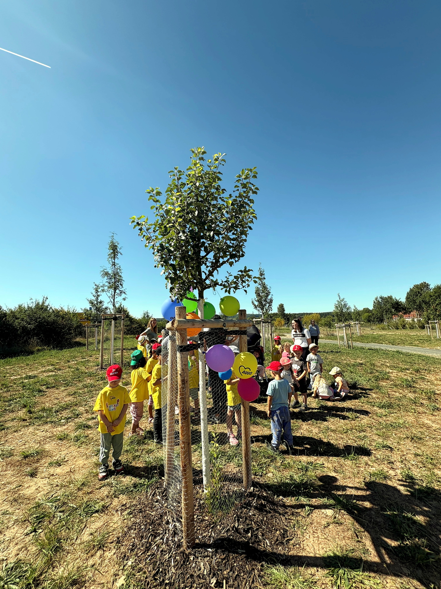 Landesgartenschau 2026