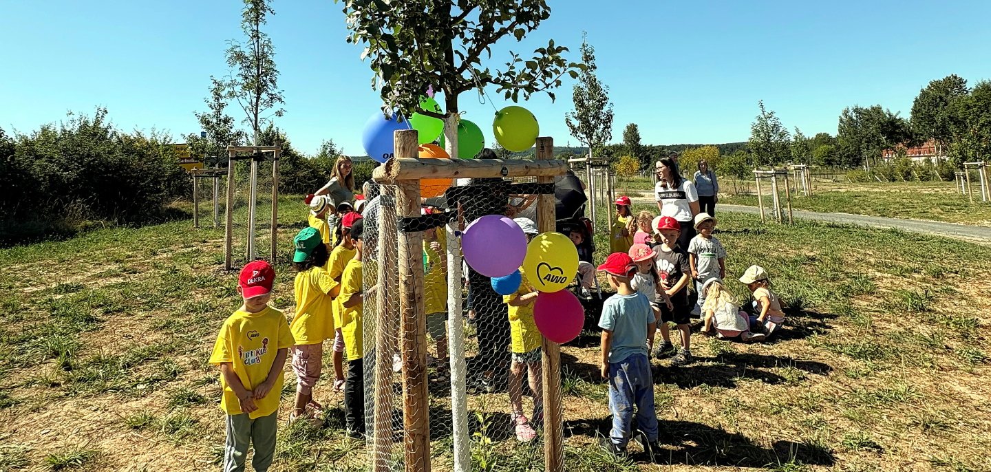 Landesgartenschau 2026