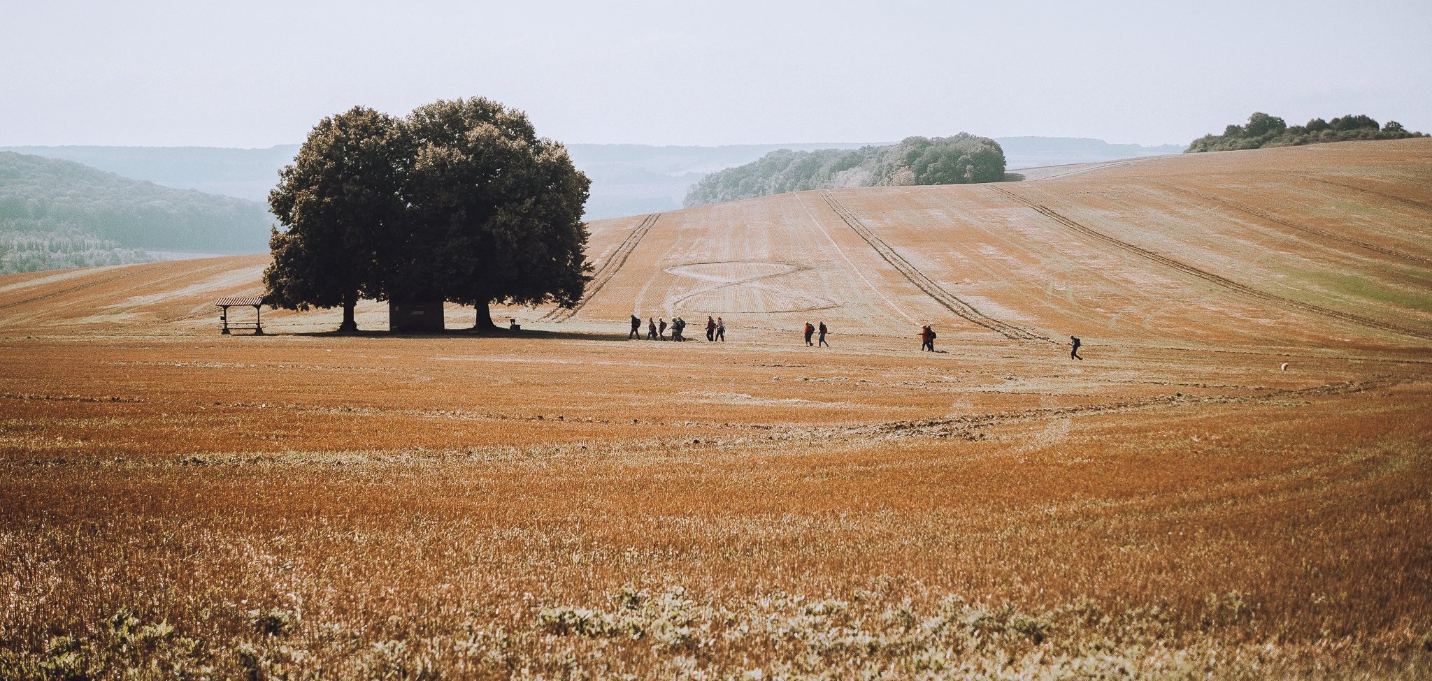 Top Wanderweg Burg Scharfenstein