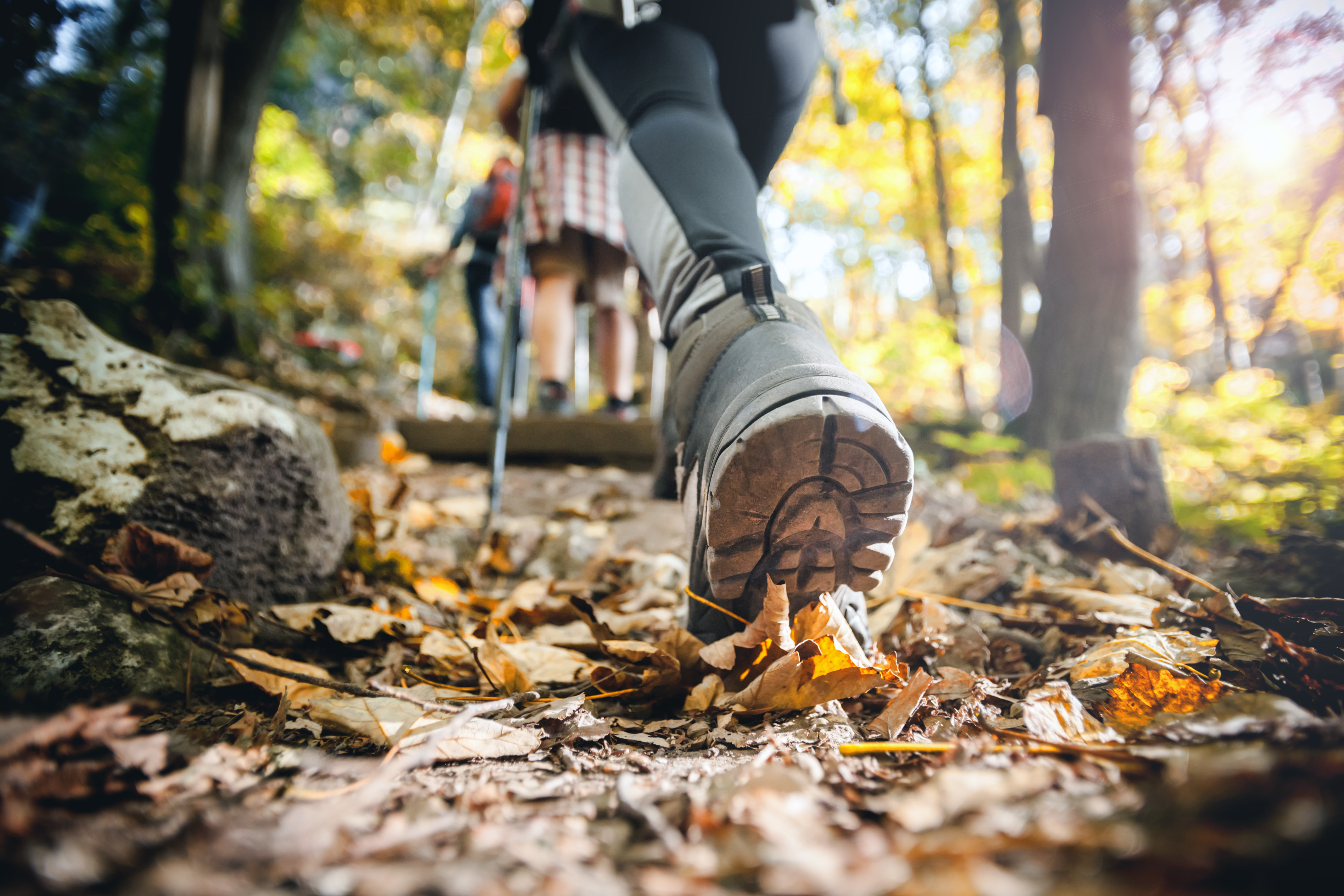 Hiker woman with trekking sticks climbs steep on mountain trail,