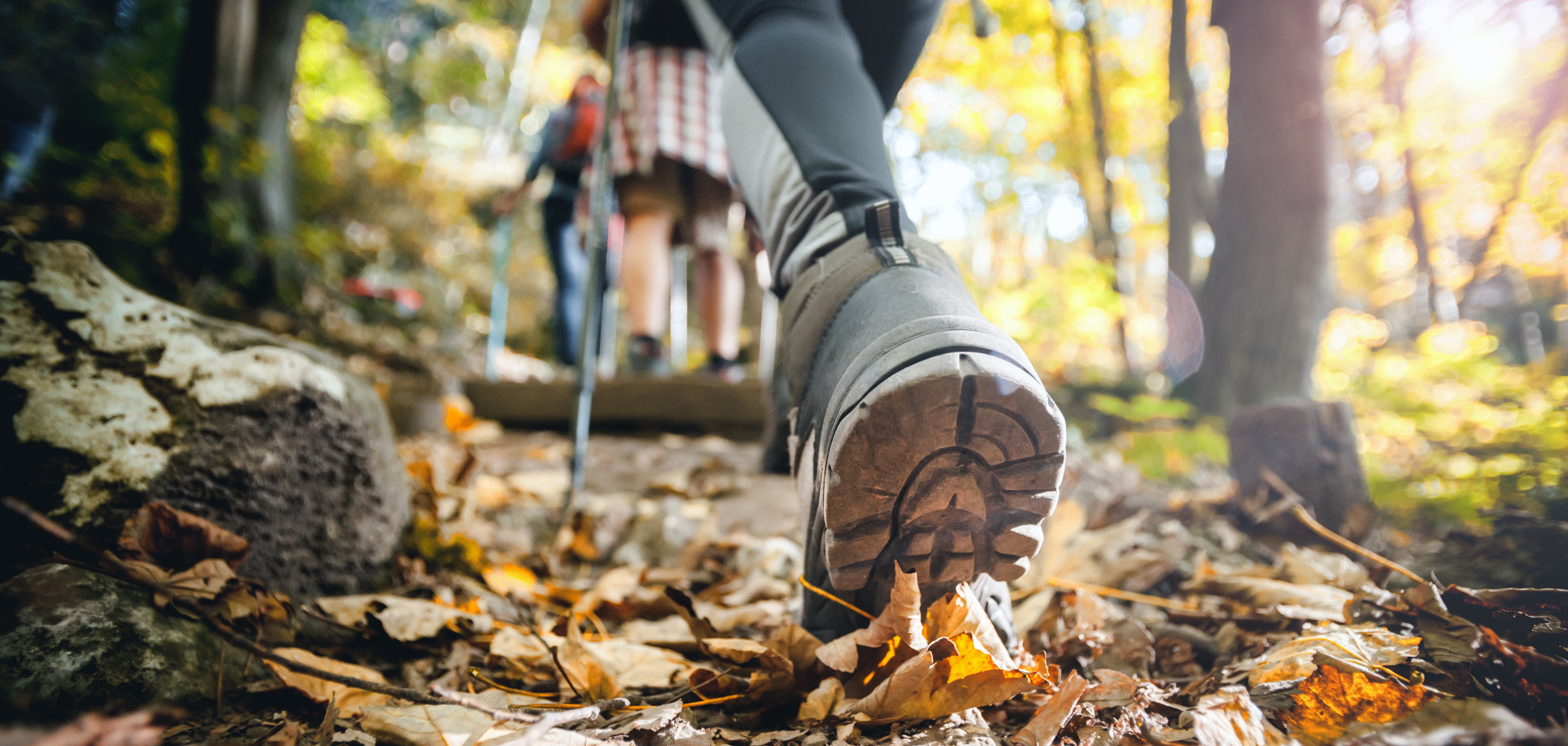 Hiker woman with trekking sticks climbs steep on mountain trail,