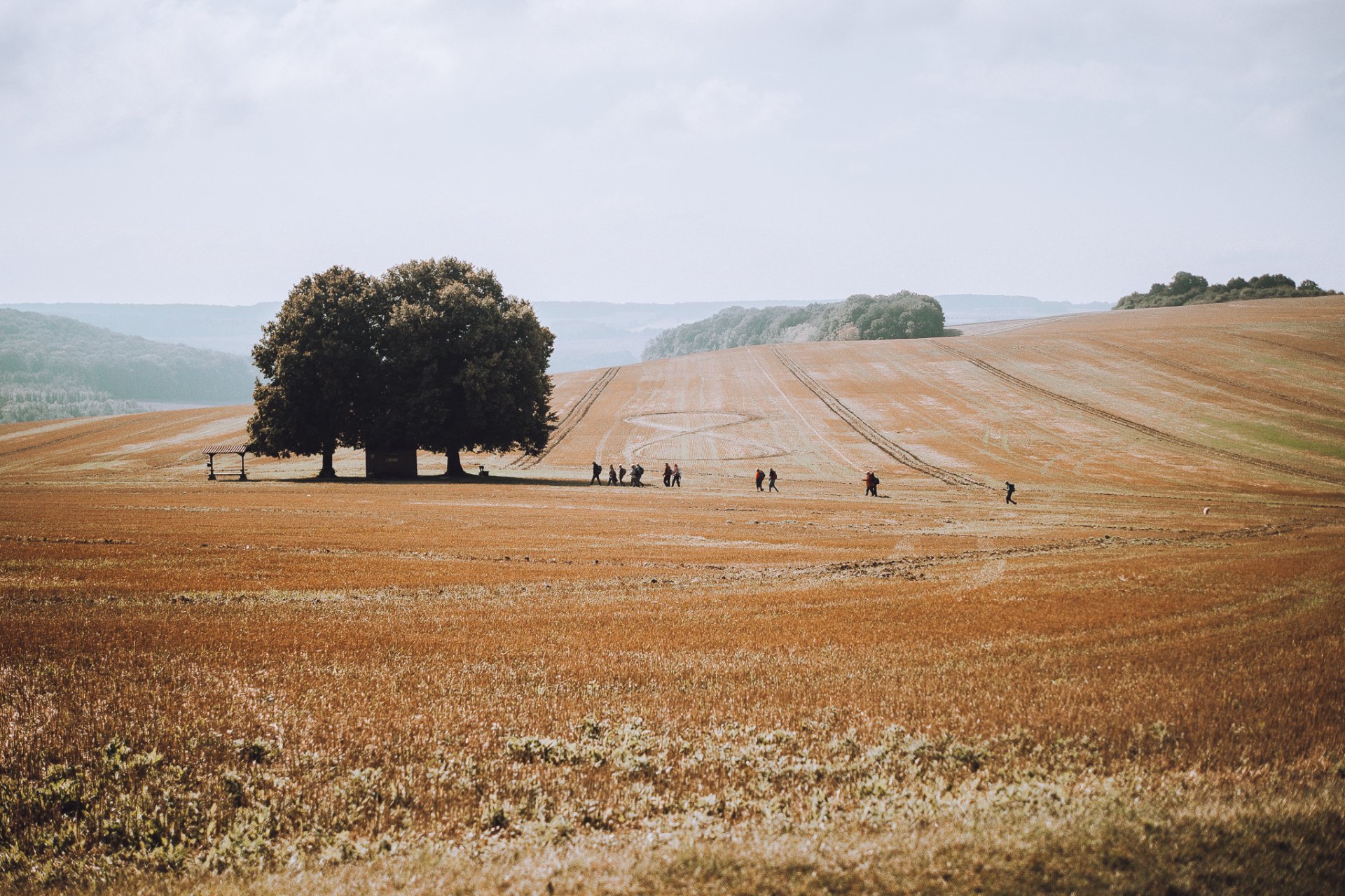 Top Wanderweg Burg Scharfenstein
