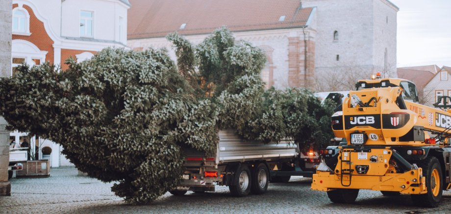Weihnachtsbaum 2025 Weihnachtsbaum 2025