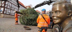 Weihnachtsbaum Rentamt 2018