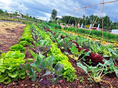 Stadtacker Landesgartenschau Stadtacker Landesgartenschau