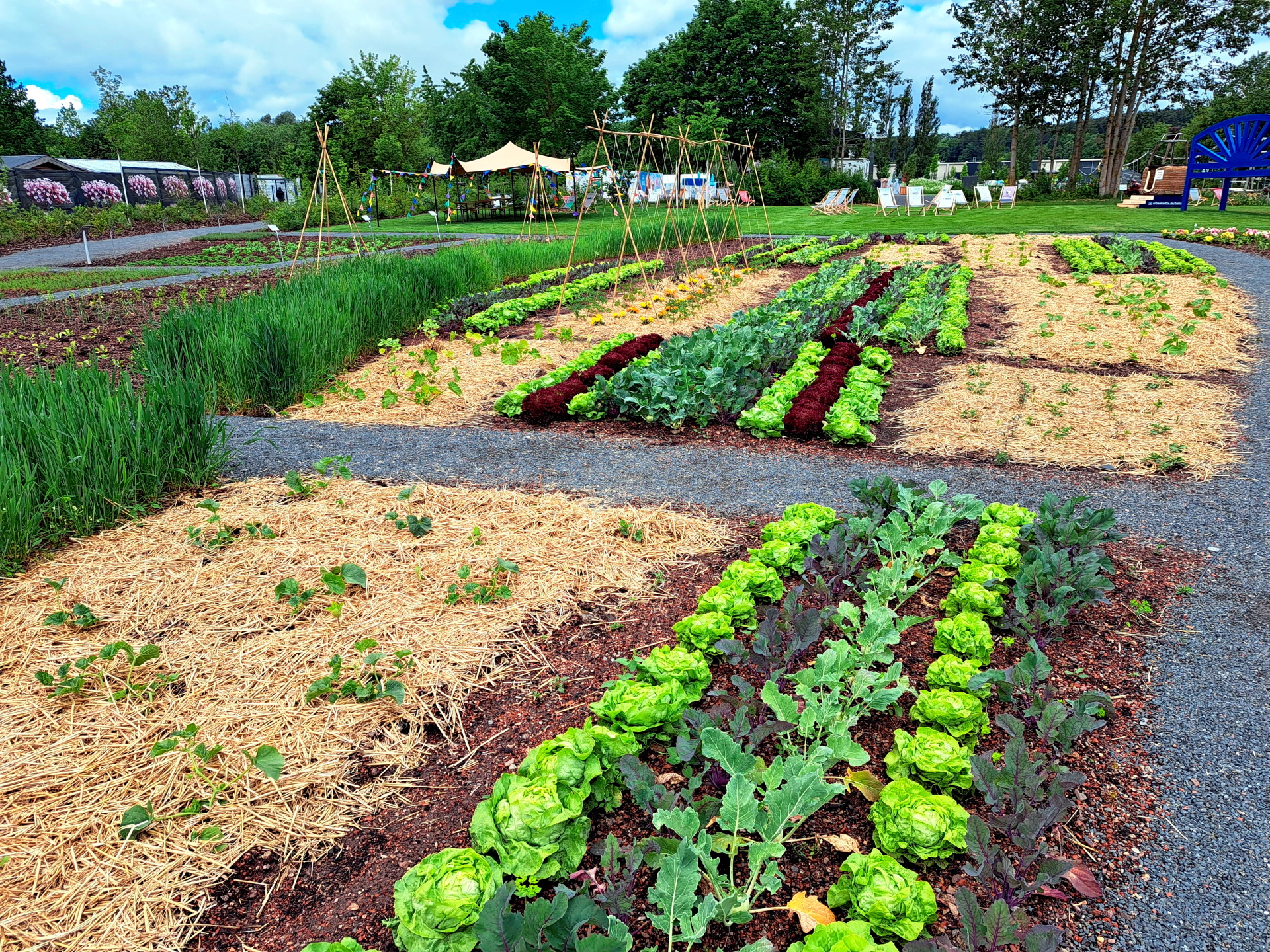 Stadtacker Landesgartenschau Stadtacker Landesgartenschau