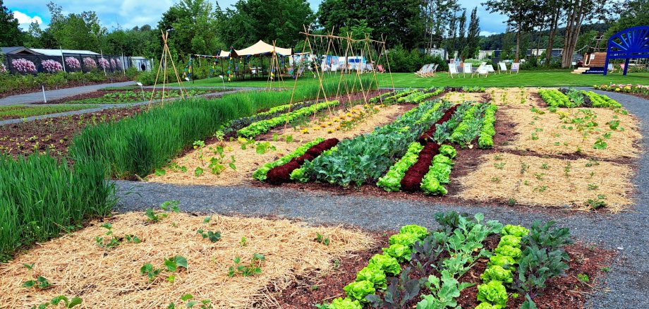 Stadtacker Landesgartenschau Stadtacker Landesgartenschau