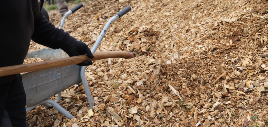 Frühjahrsputz 2025 Worbis