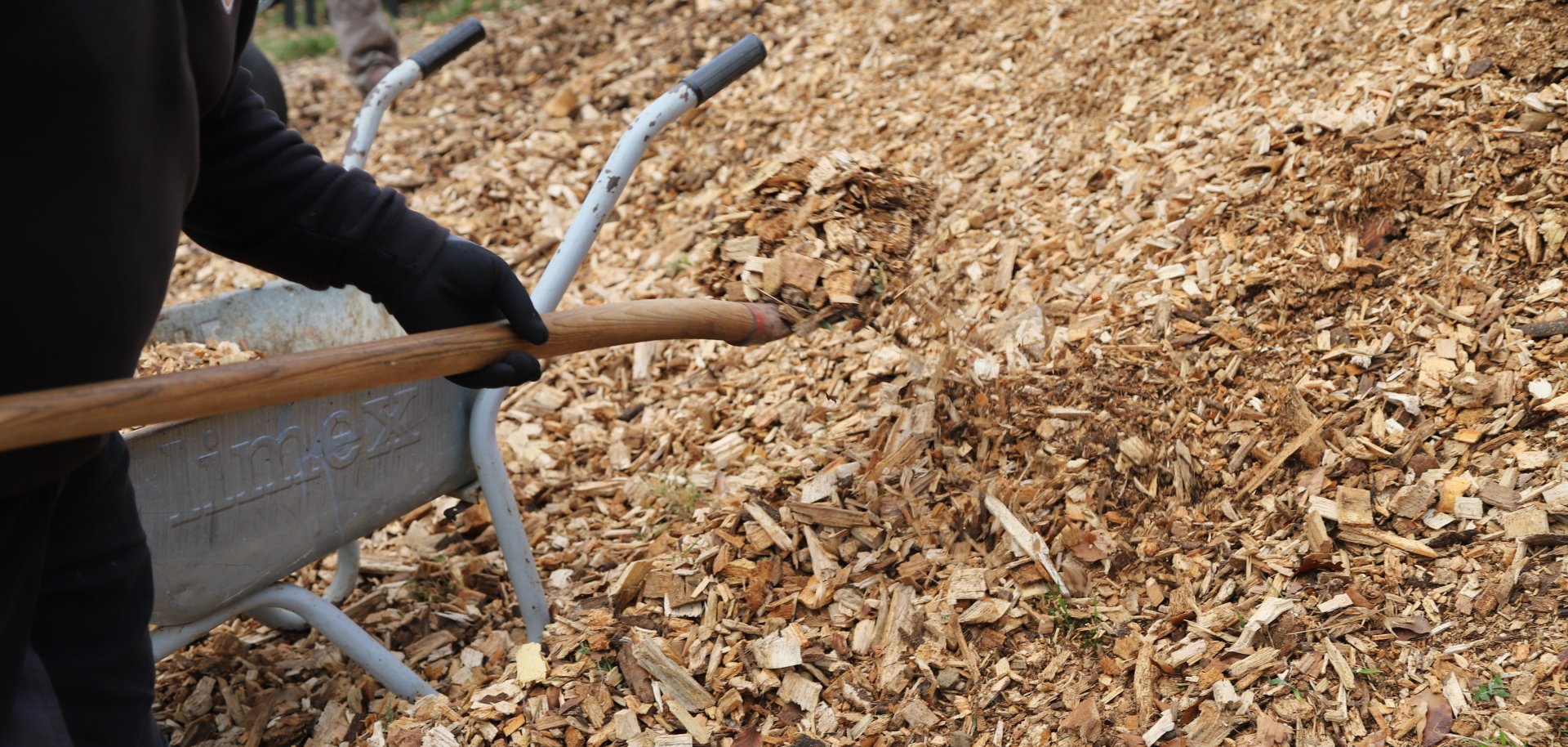 Frühjahrsputz 2025 Worbis