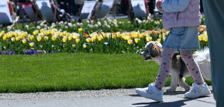 Eröffnung Landesgartenschau 2026