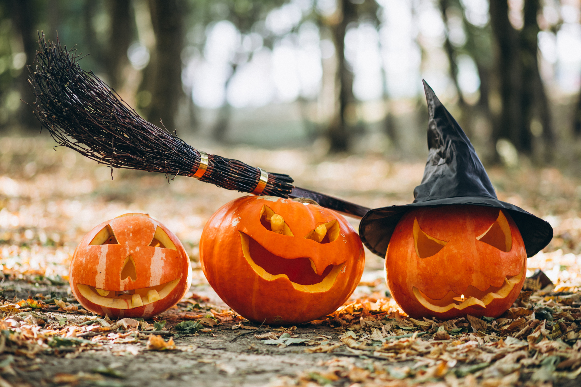 Halloween pumpkins with wich broom in an autumn forest