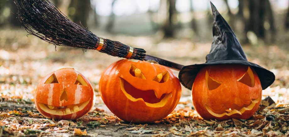 Halloween pumpkins with wich broom in an autumn forest Halloween pumpkins with wich broom in an autumn forest
