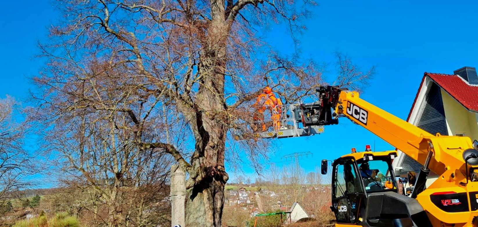 Teleskoplader im Einsatz