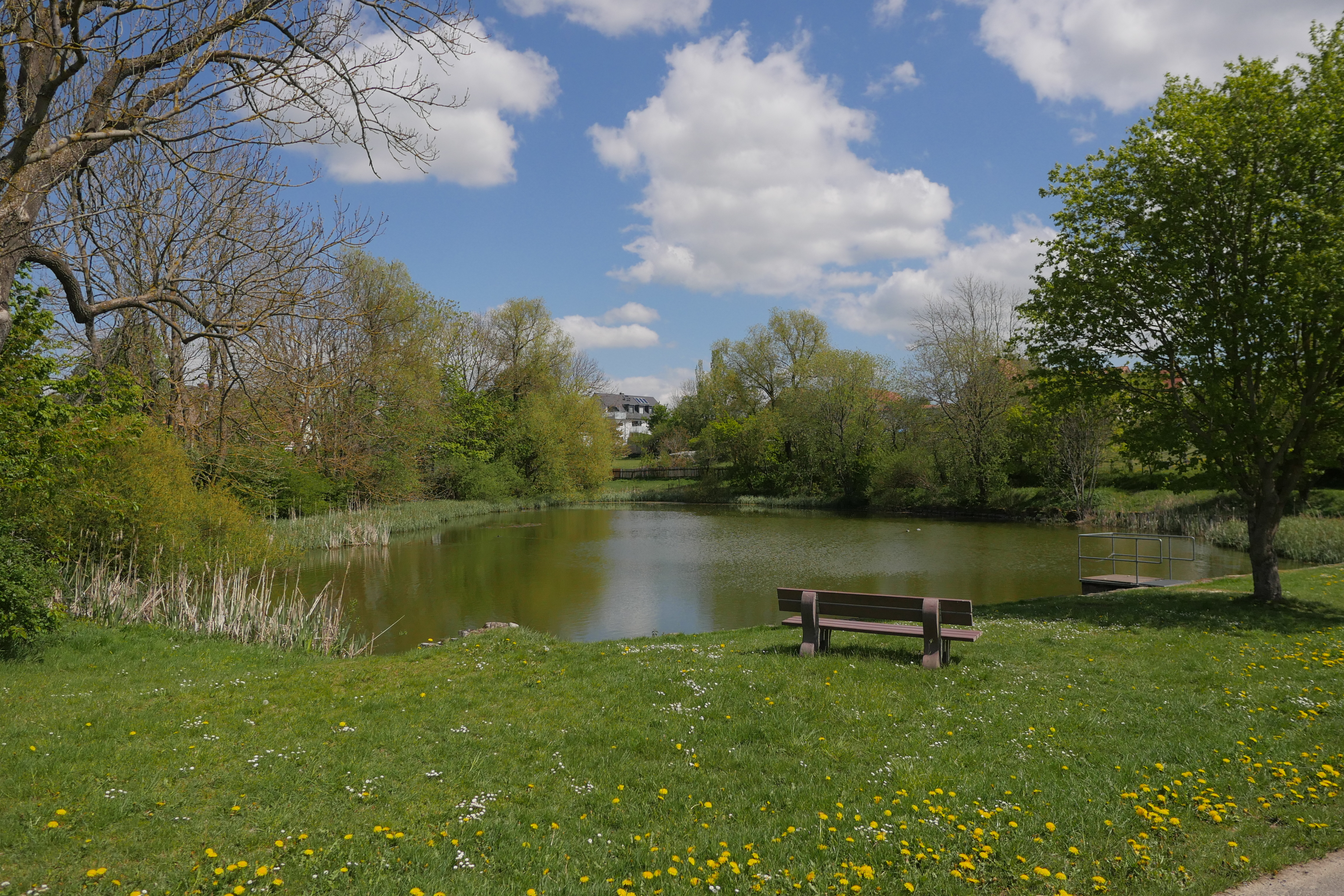 Kaltohmfeld Ortsteil Leinefelde-Worbis