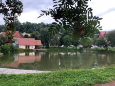 Dorfteich Teich Kirchohmfeld Dorfteich Teich Kirchohmfeld