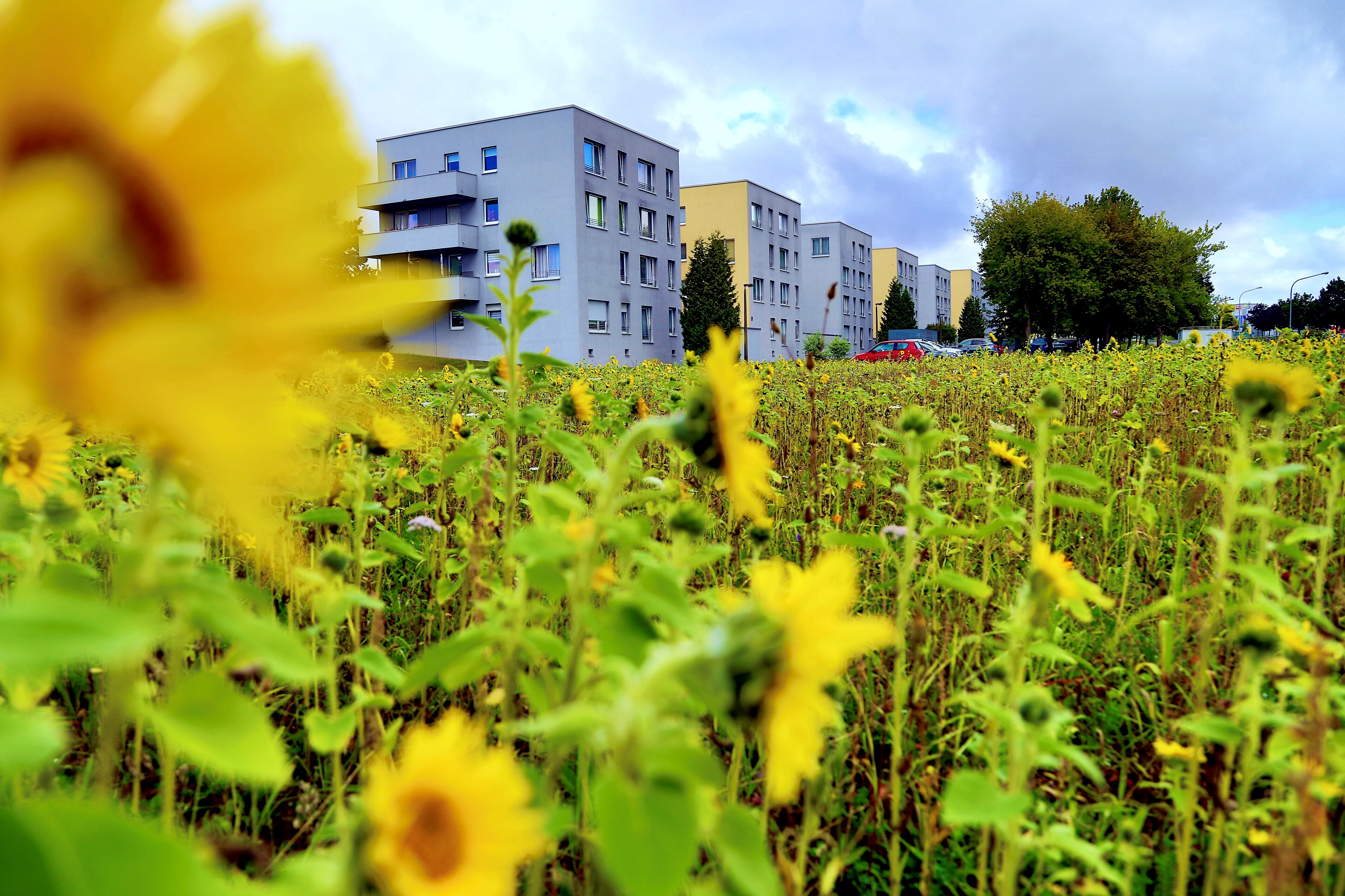 Leinefelde Südstadt Stadtvillen