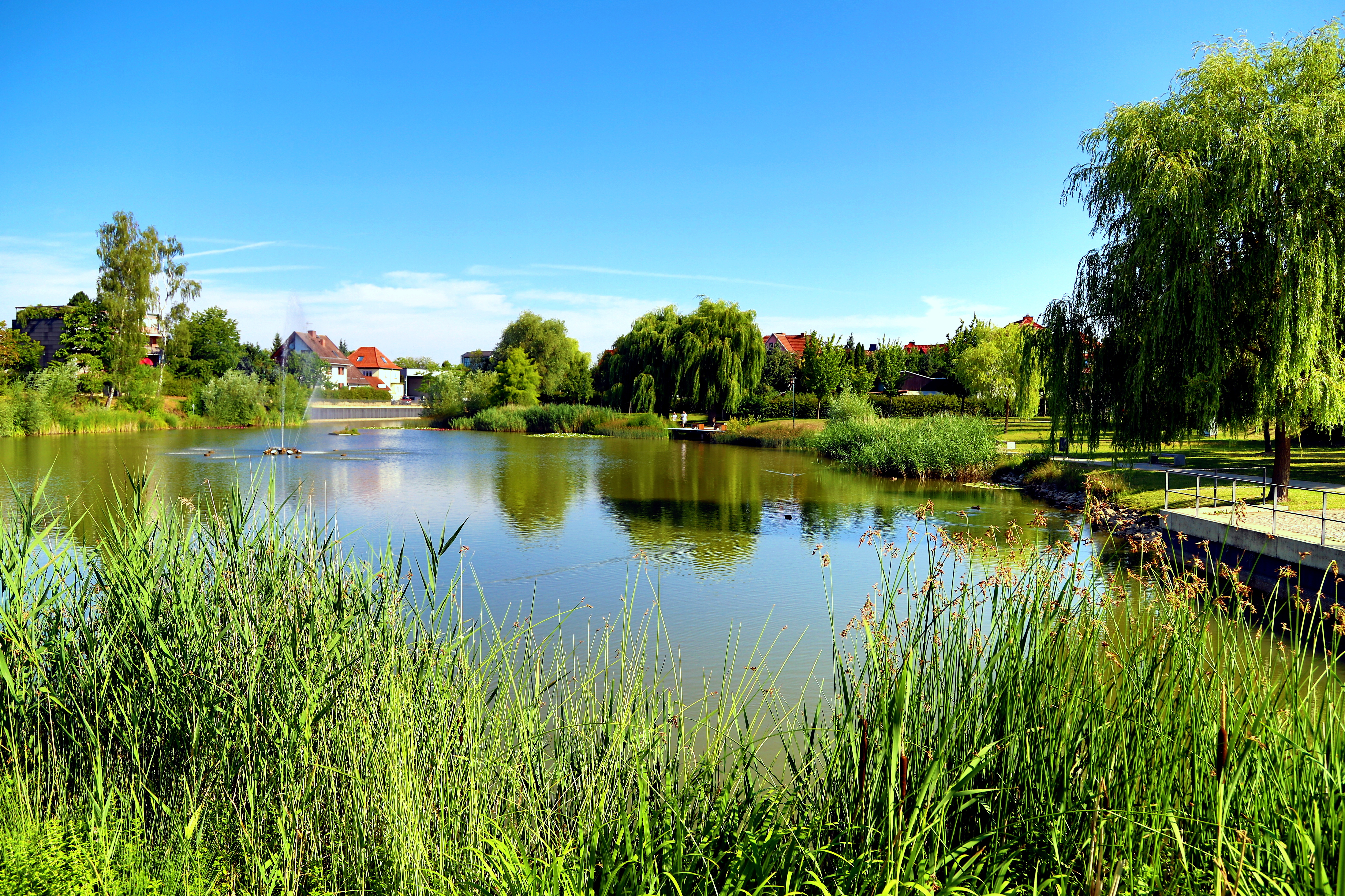 Neuer Steg Märtensteich Leinefelde