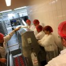 Besuch japan japanische Delegation in Leinefelde-Worbis 2017 Besuch japan japanische Delegation in Leinefelde-Worbis 2017