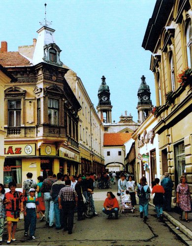 Städtepartnerschaft Papá - Leinefelde