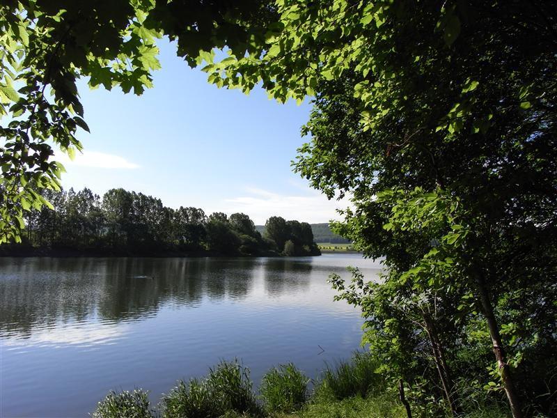 Stausee Birkungen