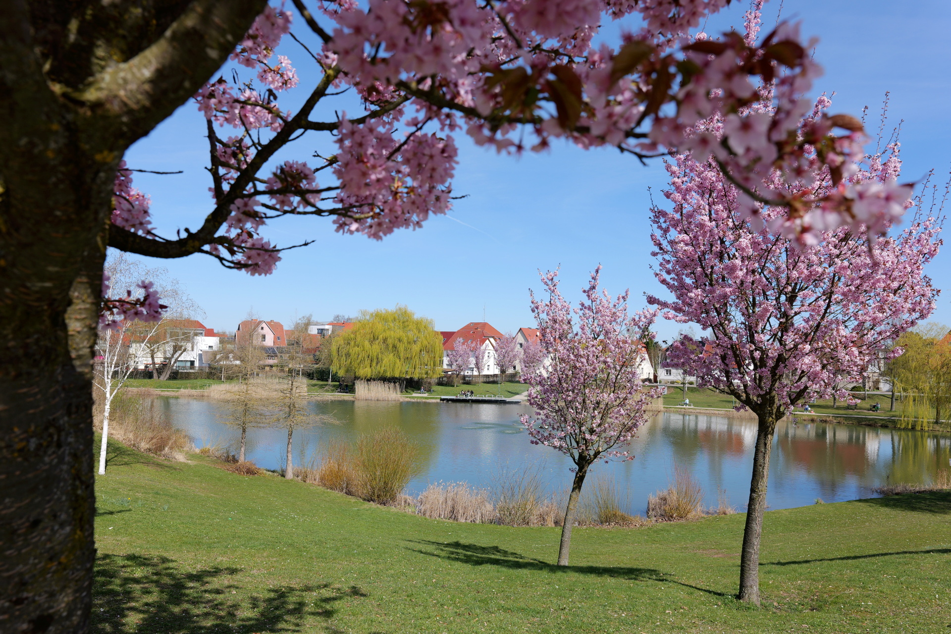 Märtens Teich Leinefelder