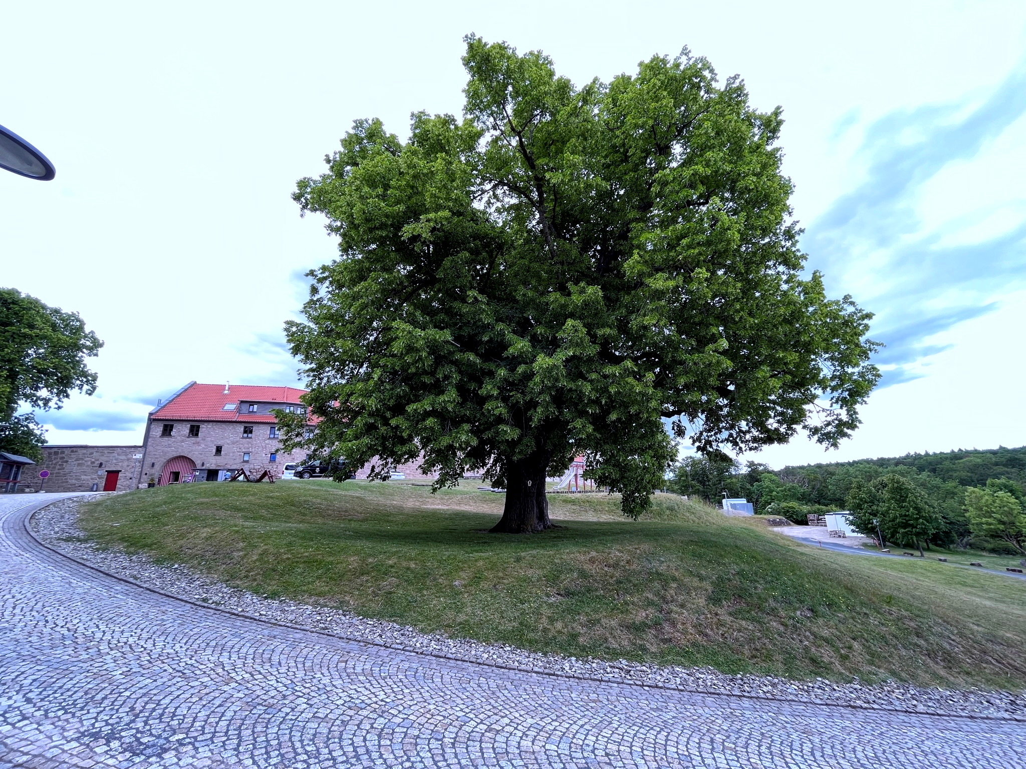 Linde Burg Scharfenstein