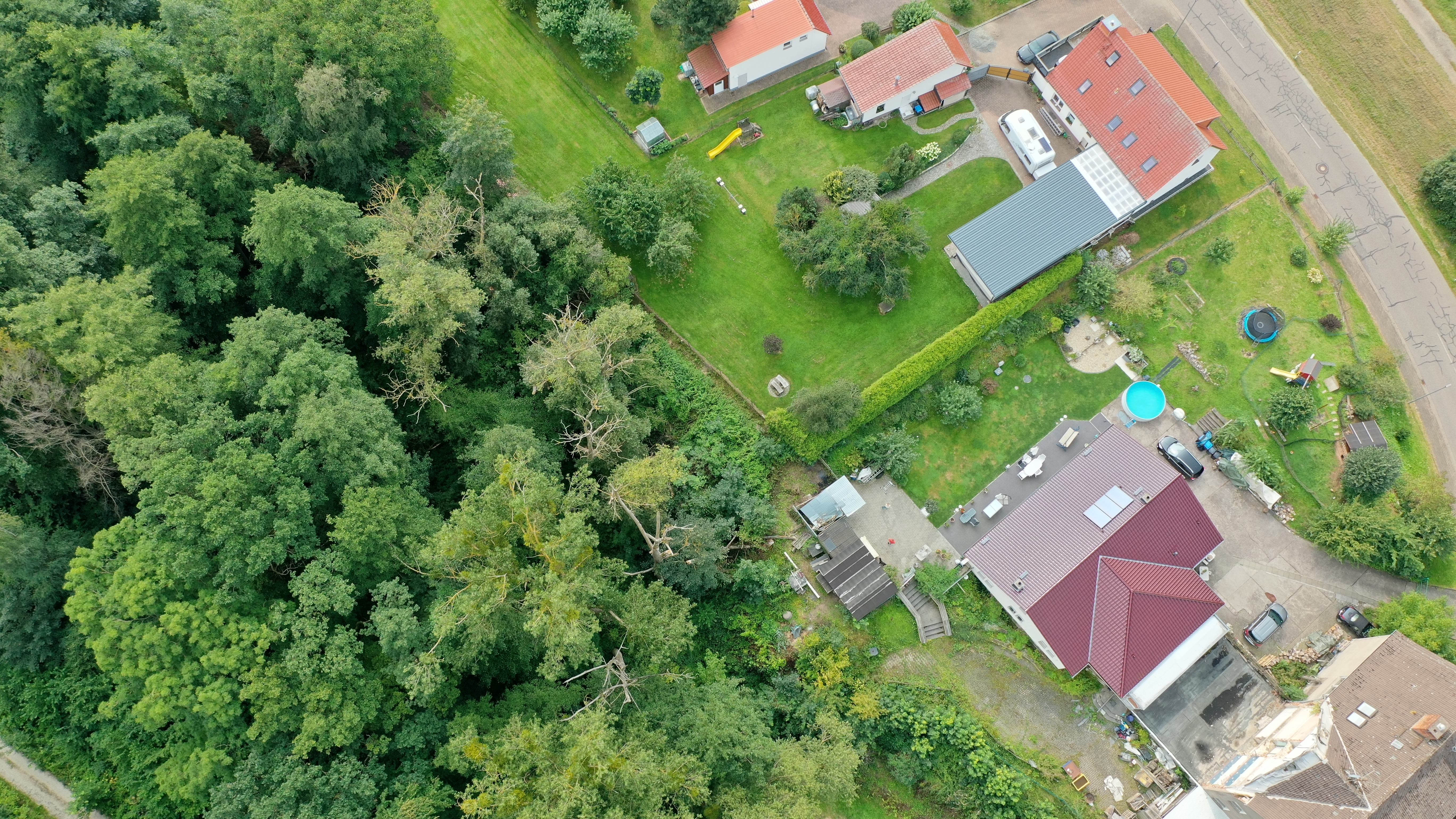 Baumschäden am Freibad Hundeshagen