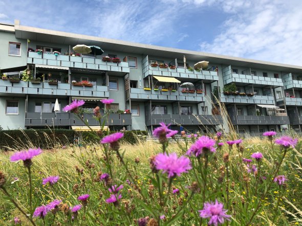 Stadtumbau Südstadt Leinefelde Infoblatt