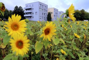 Stadtvillen Leinefelde