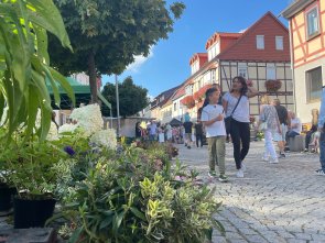 Stadtfest Worbis Krengeljägerfest Wipperfest 2023