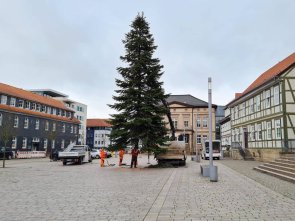 Weihnachtsbaum Friedensplatz Worbis